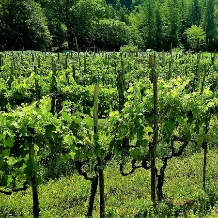 Borgo La Tabaccaia Del Mugello